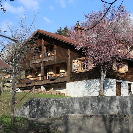 Villa Sous Les Ecotagnes Les Villards-sur-Thônes Exterior foto