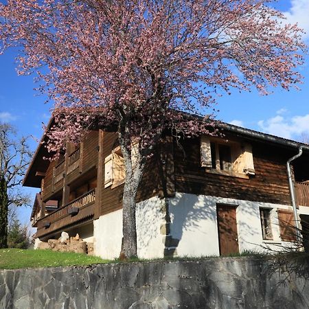 Villa Sous Les Ecotagnes Les Villards-sur-Thônes Exterior foto