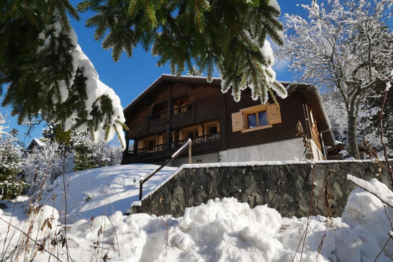 Villa Sous Les Ecotagnes Les Villards-sur-Thônes Exterior foto