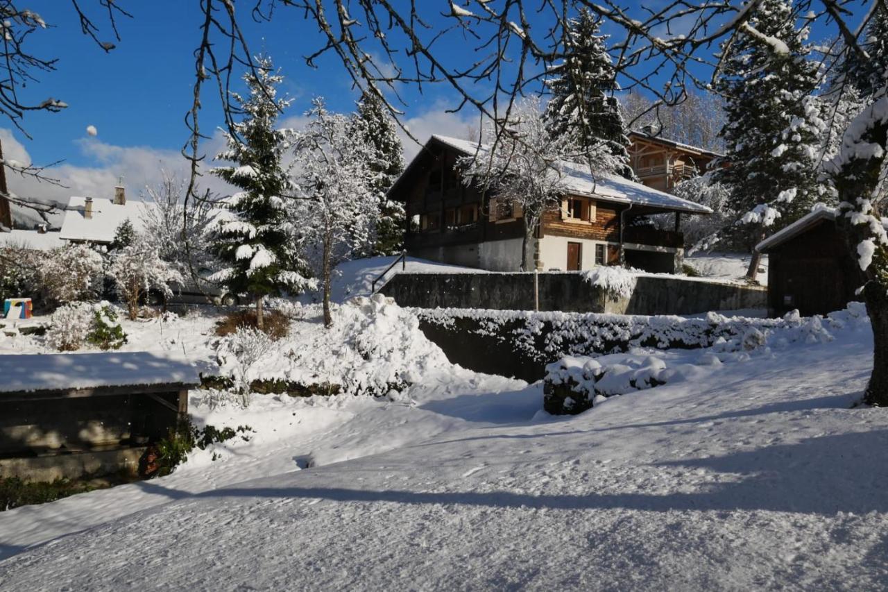 Villa Sous Les Ecotagnes Les Villards-sur-Thônes Exterior foto