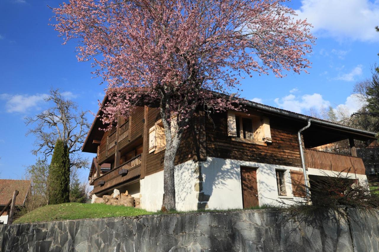 Villa Sous Les Ecotagnes Les Villards-sur-Thônes Exterior foto